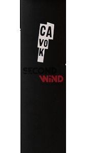 Carbon Mast 2022